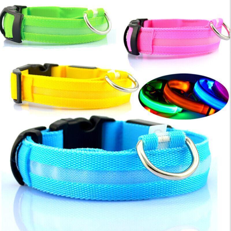 XL Size USB Rechargeable LED Dog Collar Nylon Glow Flashing Light Up Gear - Orange