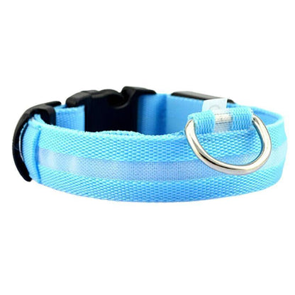XL Size USB Rechargeable LED Dog Collar Nylon Glow Flashing Light Up Gear - Orange