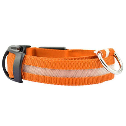XL Size USB Rechargeable LED Dog Collar Nylon Glow Flashing Light Up Gear - Orange