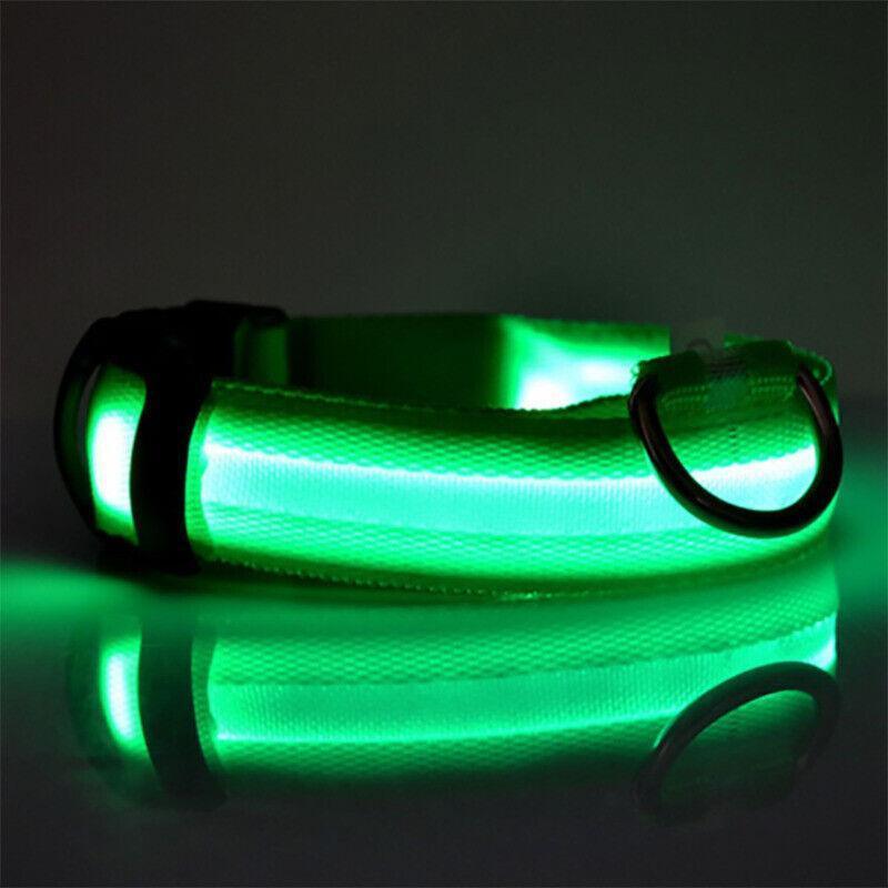 M Size USB Rechargeable LED Dog Collar Nylon Glow Flashing Light Up Pet Collar - Yellow
