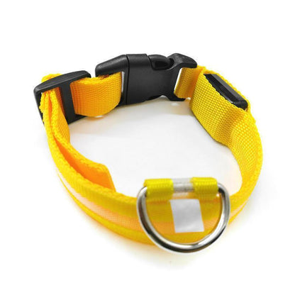 M Size USB Rechargeable LED Dog Collar Nylon Glow Flashing Light Up Pet Collar - Yellow