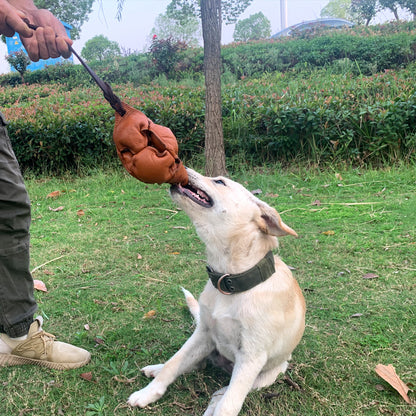 Red Durable Leather Dog Training Ball with Loop Handle - Interactive Bite & Tug Toy for Playful Pups